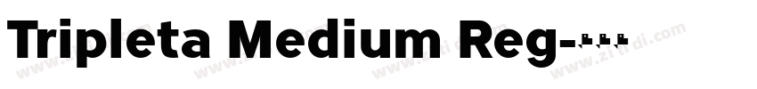 Tripleta Medium Reg字体转换 Tripleta Medium Reg字体转换